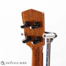 Moodyville Tenor Koa Rose