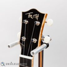 Truth THC-2328Custom