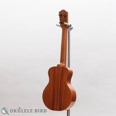Matsui Laughing Concert LN Quilt Maple Mahogany