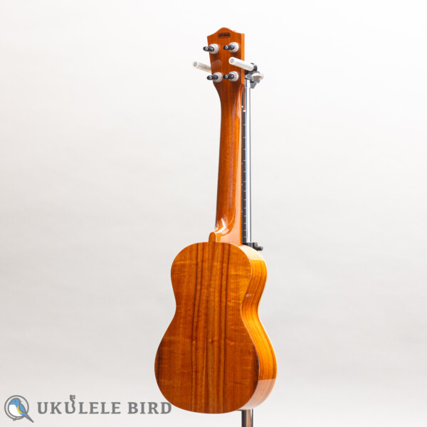 ASTURIAS Tiny Concert Koa | Ukulelebird