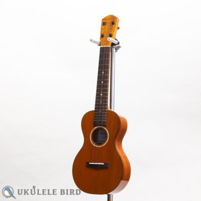 Matsui Ukulele Hinemos Concert HM