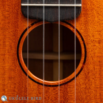 Sakata Guitars US-1C 17F Custom