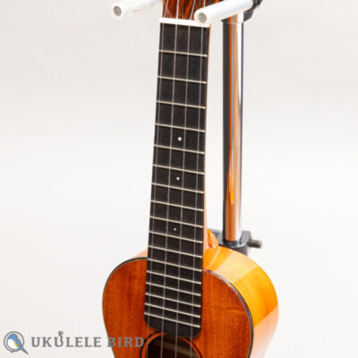 Sakata Guitars US-1C 17F Custom