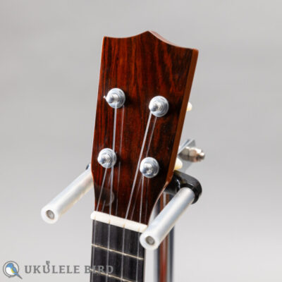 Sakata Guitars US-1  17F Custom