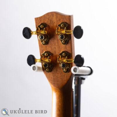 PONO ASSD Soprano Long Neck Acacia