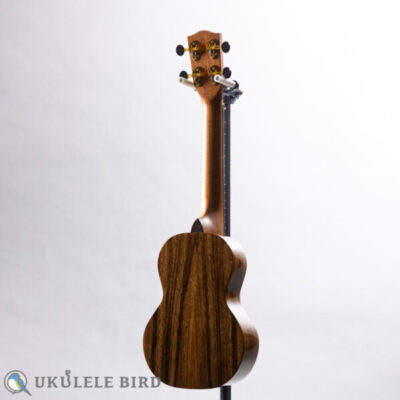 PONO ASSD Soprano Long Neck Acacia