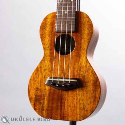 Kanilea K-1S  2008  used