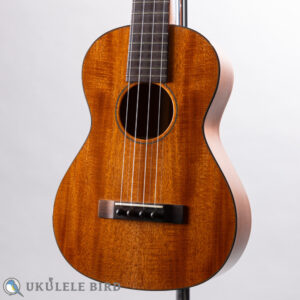 Sakata Guitars UT-1C