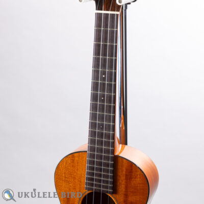 Sakata Guitars UT-1C