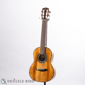 KG Custom Tenor Ukulele All Koa Ebony Binding