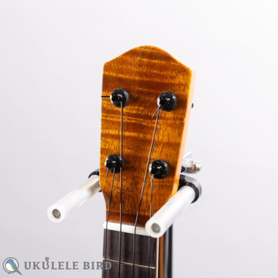 Matsui Laughing Concert Koa Honduras Mahogany