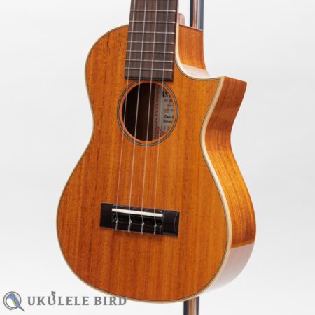 Asturias Solo Mahogany 12967