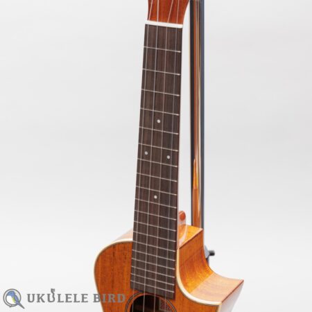 Asturias Solo Mahogany 12967