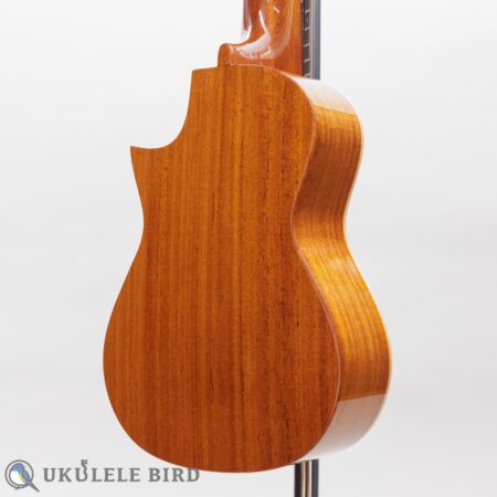 Asturias Solo Mahogany 12967