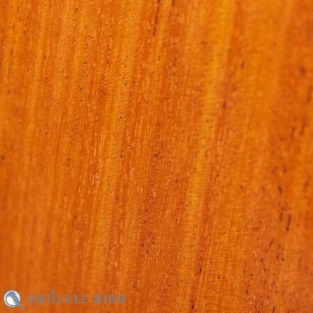 Asturias Solo Mahogany 12967