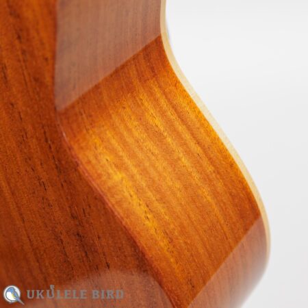 Asturias Solo Mahogany 12967