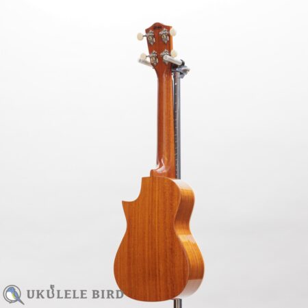 Asturias Solo Mahogany 12967