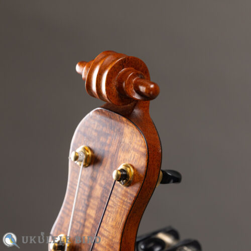 Daisaku Ukulele Renaissance SCR Tenor Koa