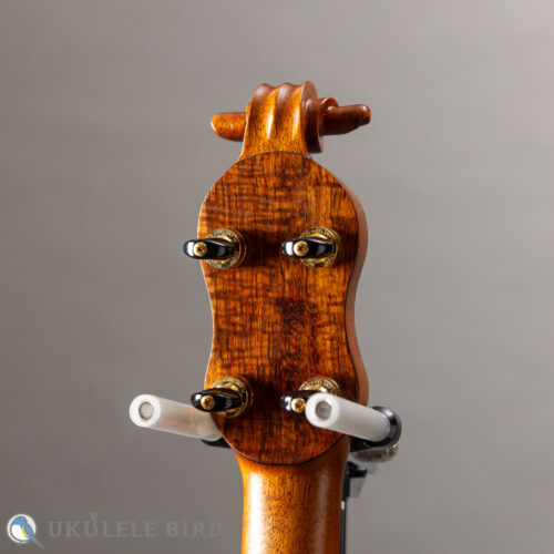 Daisaku Ukulele Renaissance SCR Tenor Koa