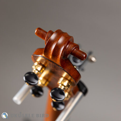 Daisaku Ukulele Renaissance SCR Tenor Koa