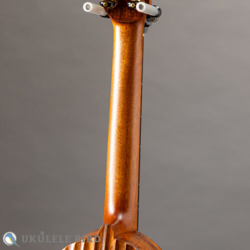 Daisaku Ukulele Renaissance SCR Tenor Koa