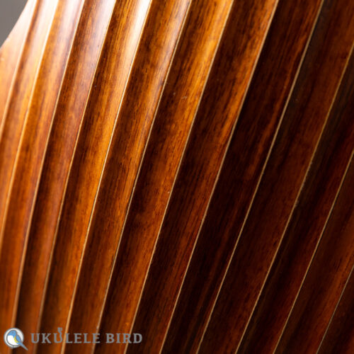 Daisaku Ukulele Renaissance SCR Tenor Koa