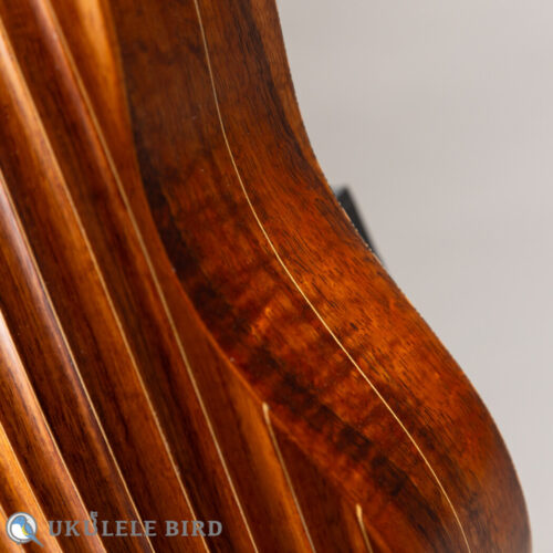 Daisaku Ukulele Renaissance SCR Tenor Koa