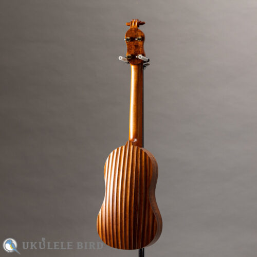 Daisaku Ukulele Renaissance SCR Tenor Koa