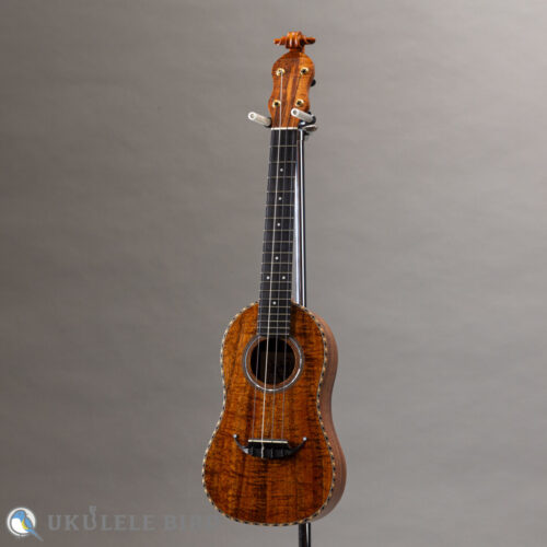 Daisaku Ukulele Renaissance SCR Tenor Koa