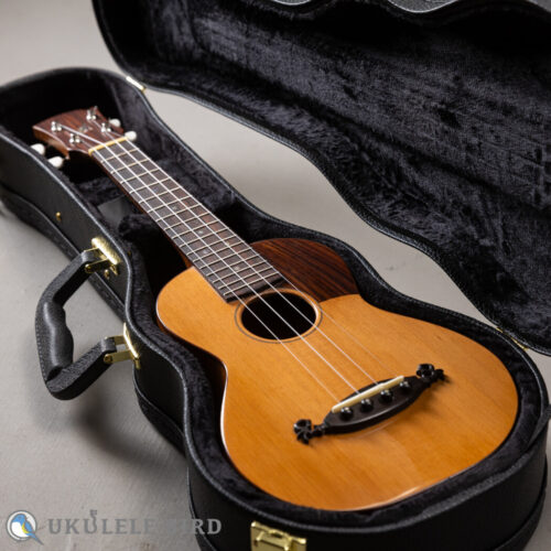 Arimitsu Guitar Craft Concert Cedar Maho