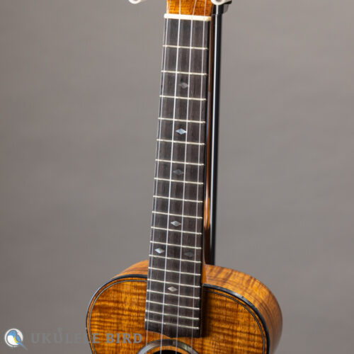 Antar Concert All Koa Cat Inlay