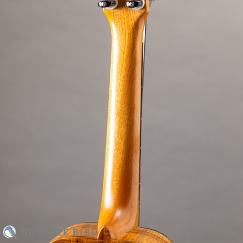 Antar Concert All Koa Cat Inlay