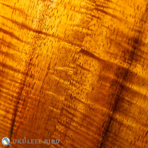 Antar Concert All Koa Cat Inlay