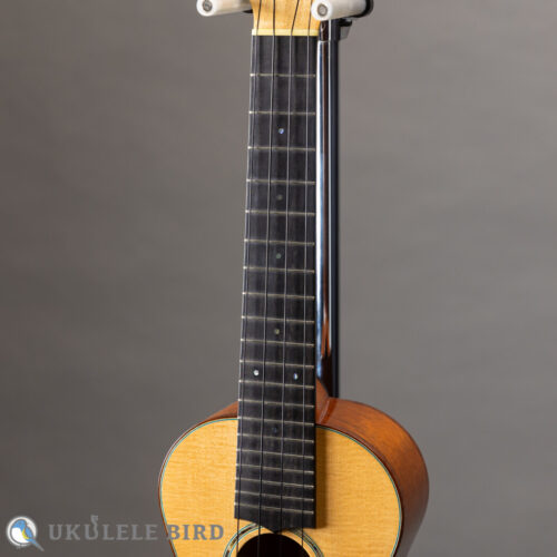 HAMAGEN C-016 Concert Spruce Mahogany