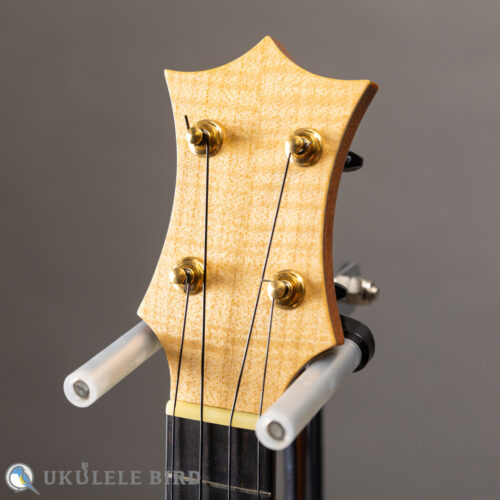 HAMAGEN C-016 Concert Spruce Mahogany