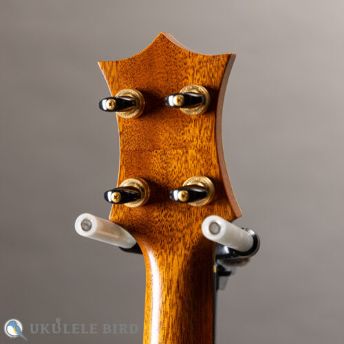HAMAGEN C-016 Concert Spruce Mahogany