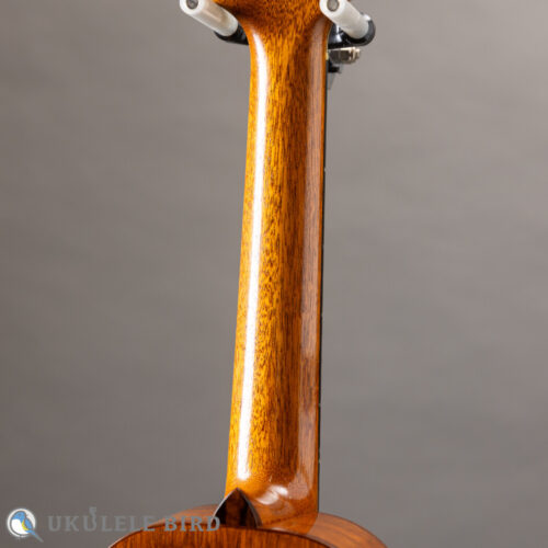 HAMAGEN C-016 Concert Spruce Mahogany