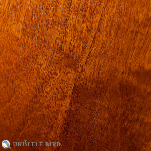 HAMAGEN C-016 Concert Spruce Mahogany