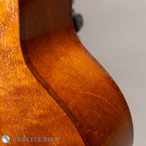 HAMAGEN C-016 Concert Spruce Mahogany