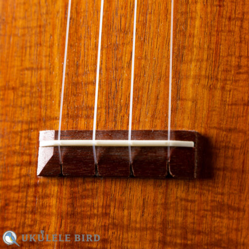 Acoustic World  Soprano Style0 Koa CTM 