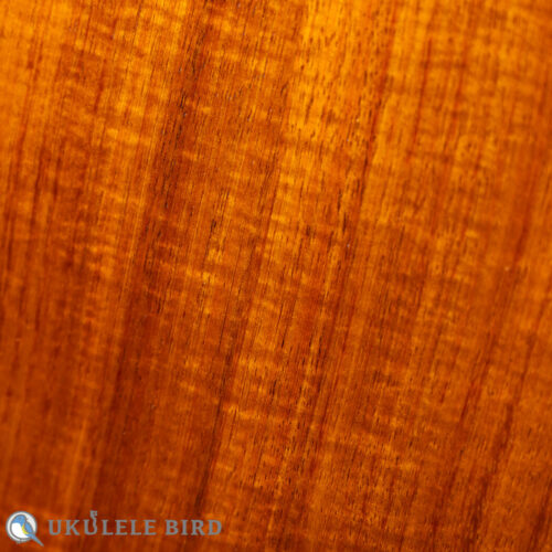 Acoustic World  Soprano Style0 Koa CTM 