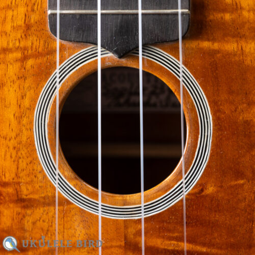 Acoustic World Soprano Long Neck 3K CTM