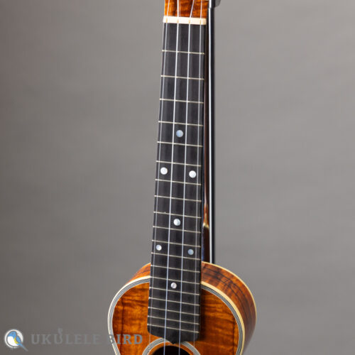 Acoustic World Soprano Long Neck 3K CTM