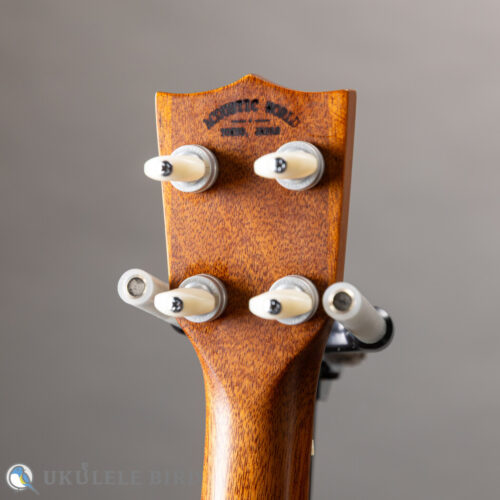 Acoustic World Soprano Long Neck 3K CTM