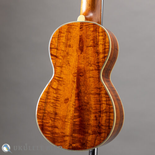 Acoustic World Soprano Long Neck 3K CTM