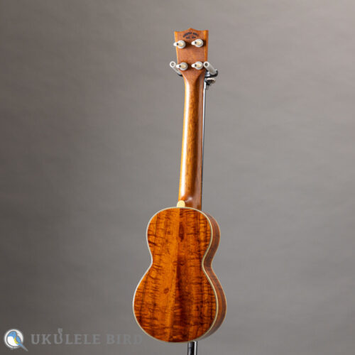 Acoustic World Soprano Long Neck 3K CTM
