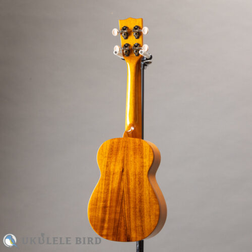 ILIKAI IL-SOP-4KGG