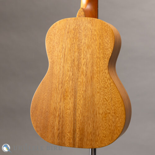 PONO AT Tenor Acacia
