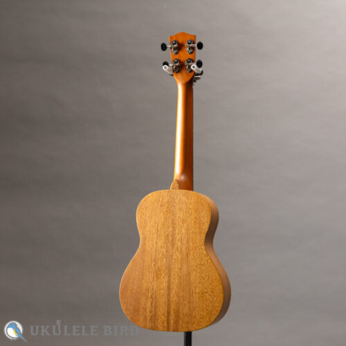 PONO AT Tenor Acacia