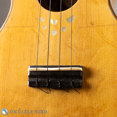 Oulcraft Concert LongNeck  Spruce/Myrtle